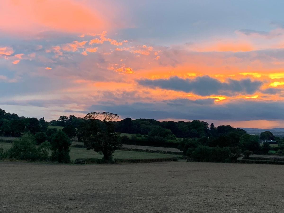 Farmhouse Studio Near Shrewsbury Grinshill Экстерьер фото